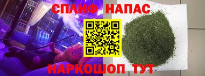 сатива Камышлов