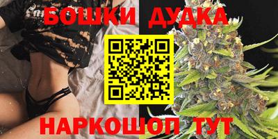 СК Кандалакша