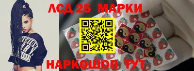 СК Кандалакша