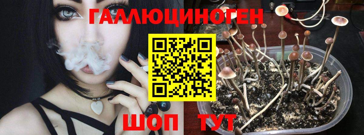 Галлюциногенные грибы Psilocybe  Псилоцибиновые грибы мухоморы  хочу наркоту  Кубинка  Вход с VPN 